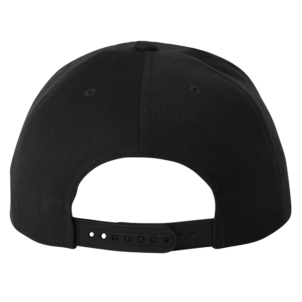 Black Sabbath Logo Snap Back Hat Back