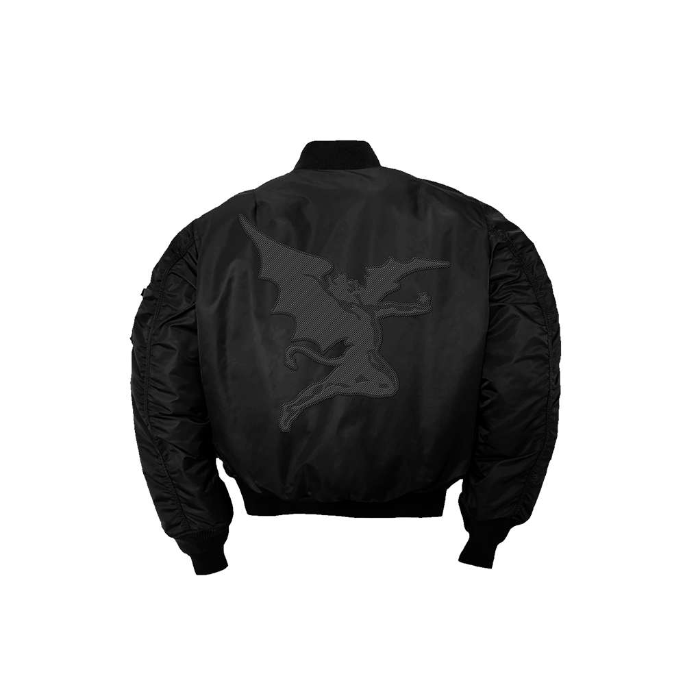 Tonal Henry Flight Jacket back